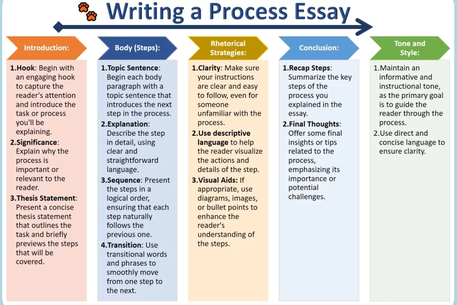 Writing Process Essays